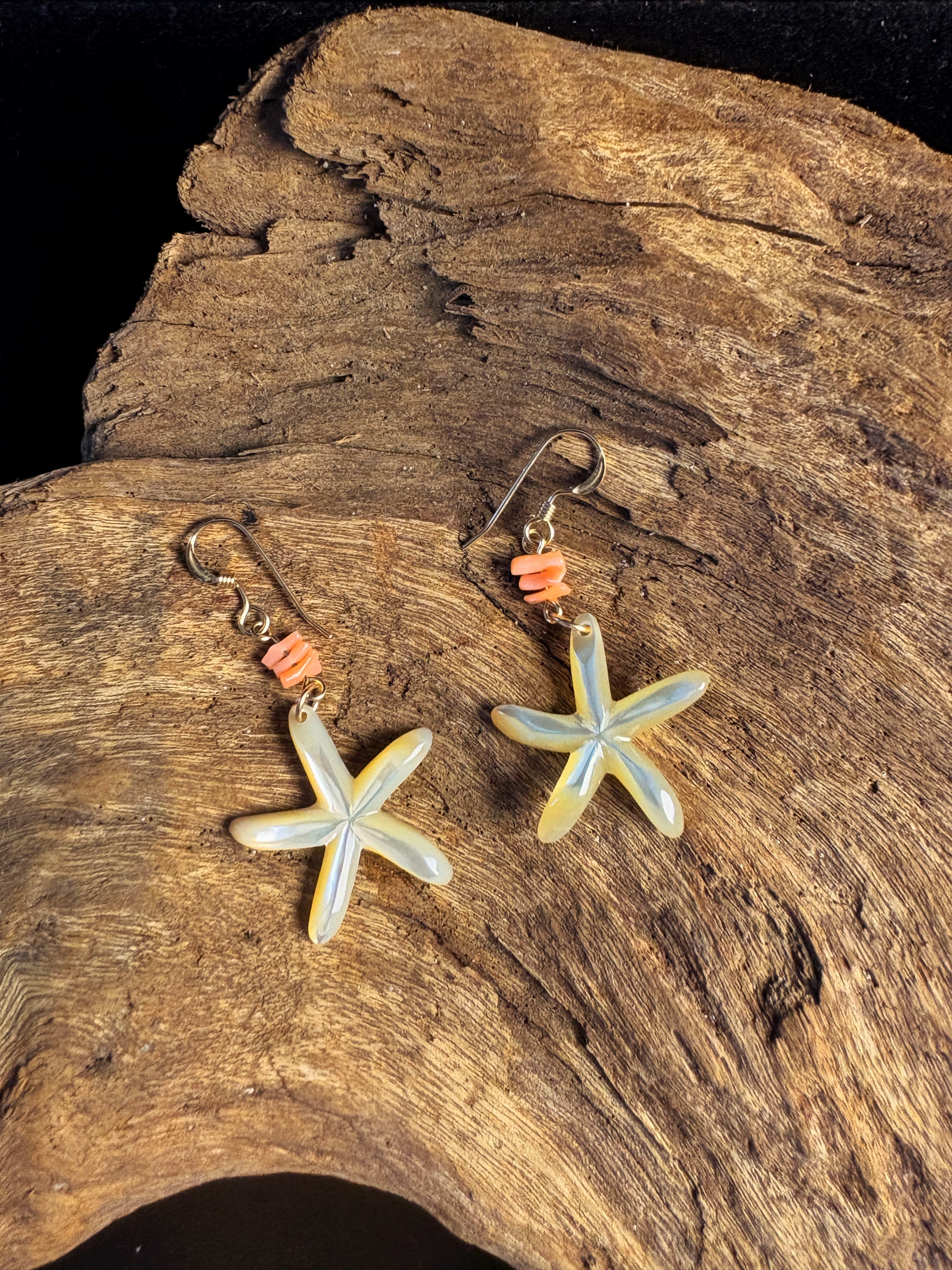 THE SEA STAR - TROCHUS SHELL
